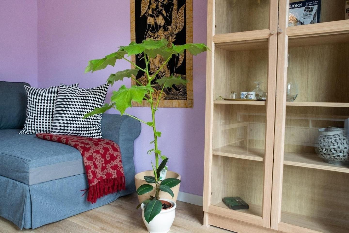 Farbenfrohe Ferienwohnung Детмолд Екстериор снимка